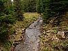 DSC06017.jpg